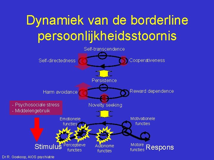 Dynamiek van de borderline persoonlijkheidsstoornis Self-transcendence Cooperativeness Self-directedness Persistence Reward dependence Harm avoidance -