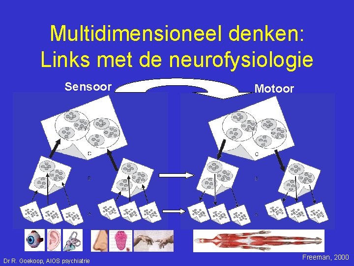 Multidimensioneel denken: Links met de neurofysiologie Sensoor Dr R. Goekoop, AIOS psychiatrie Motoor Freeman,