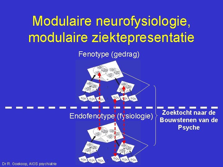 Modulaire neurofysiologie, modulaire ziektepresentatie Fenotype (gedrag) Zoektocht naar de Endofenotype (fysiologie) Bouwstenen van de