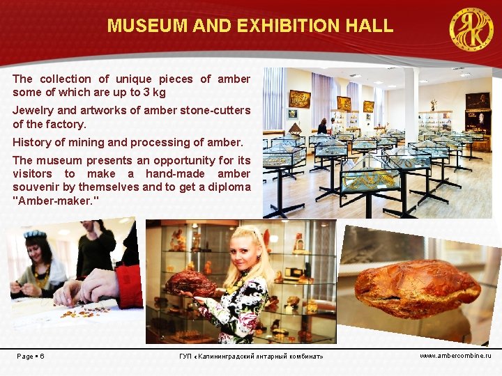 MUSEUM AND EXHIBITION HALL The collection of unique pieces of amber some of which