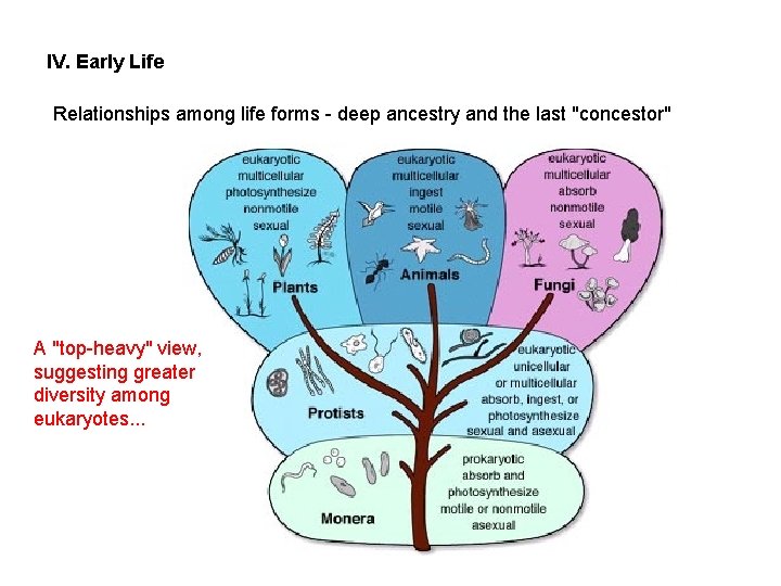 IV. Early Life Relationships among life forms - deep ancestry and the last "concestor"