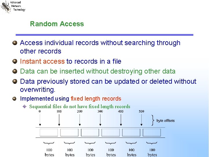 Random Access individual records without searching through other records Instant access to records in