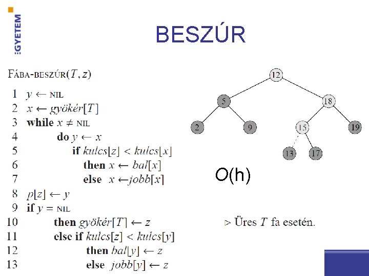 BESZÚR O(h) 