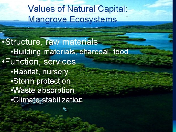 Values of Natural Capital: Mangrove Ecosystems • Structure, raw materials • Building materials, charcoal,