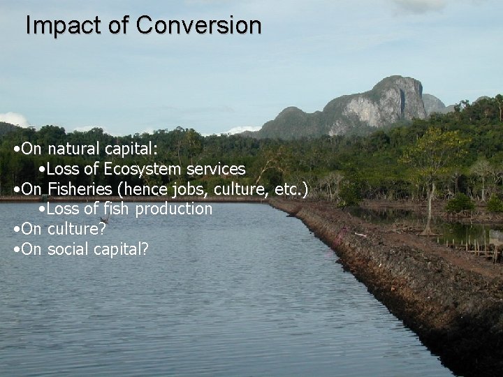 Impact of Conversion • On natural capital: • Loss of Ecosystem services • On