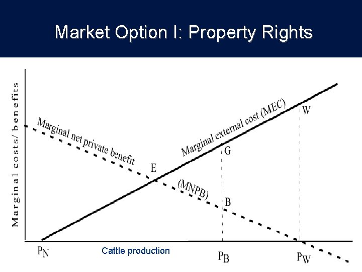 Market Option I: Property Rights Cattle production 