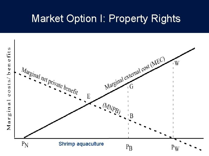 Market Option I: Property Rights Shrimp aquaculture 