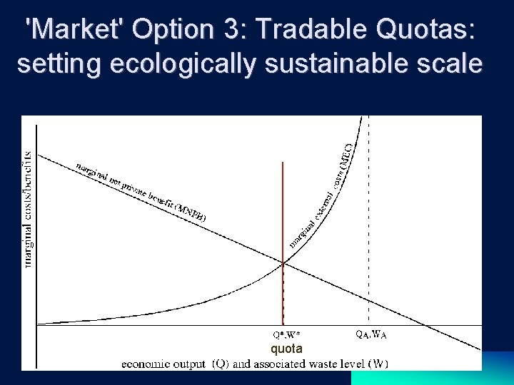 'Market' Option 3: Tradable Quotas: setting ecologically sustainable scale quota 