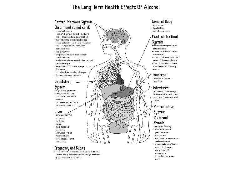 Effects of Alcohol on the Body With a
