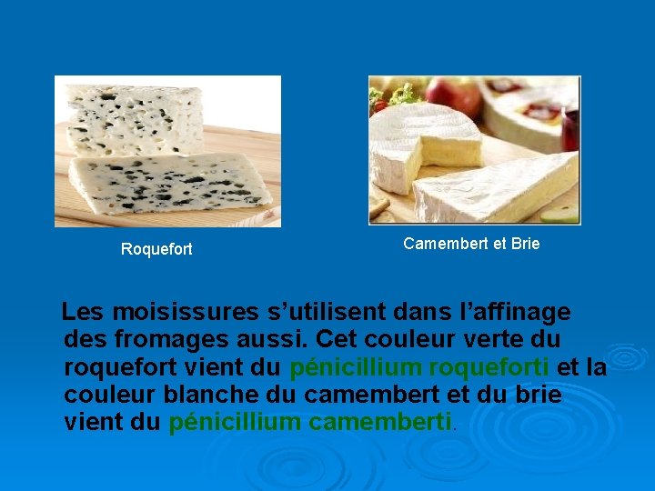 Roquefort Camembert et Brie Les moisissures s’utilisent dans l’affinage des fromages aussi. Cet couleur
