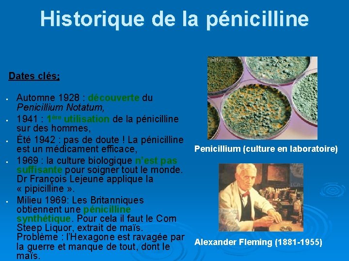 Historique de la pénicilline Dates clés: § § § Automne 1928 : découverte du