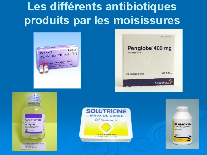 Les différents antibiotiques produits par les moisissures 