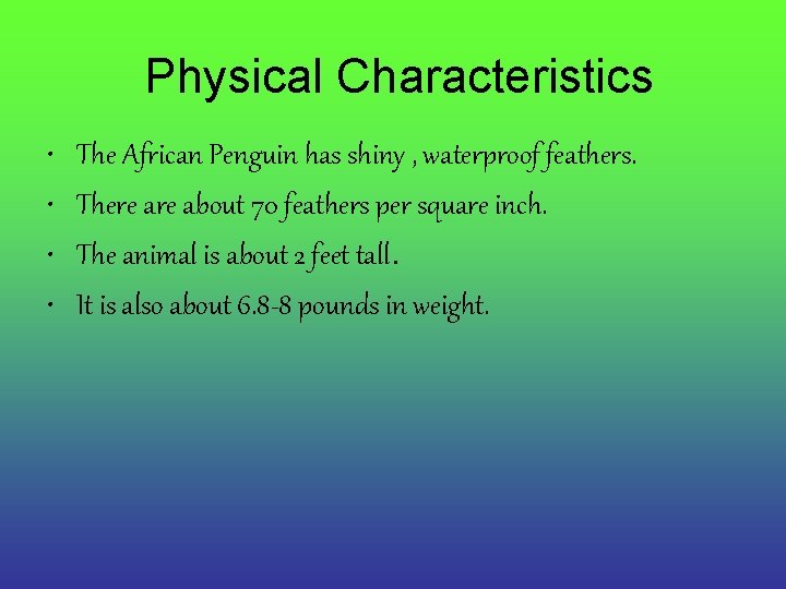 Physical Characteristics • • The African Penguin has shiny , waterproof feathers. There about