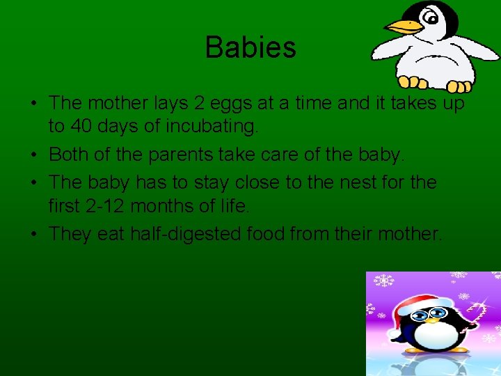 Babies • The mother lays 2 eggs at a time and it takes up