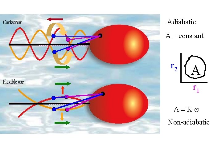 Adiabatic A = constant r 2 A r 1 A=Kw Non-adiabatic 