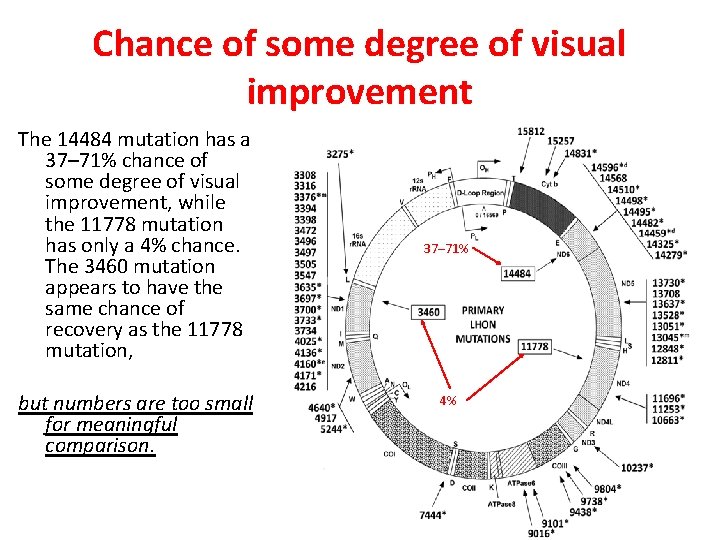 Chance of some degree of visual improvement The 14484 mutation has a 37– 71%