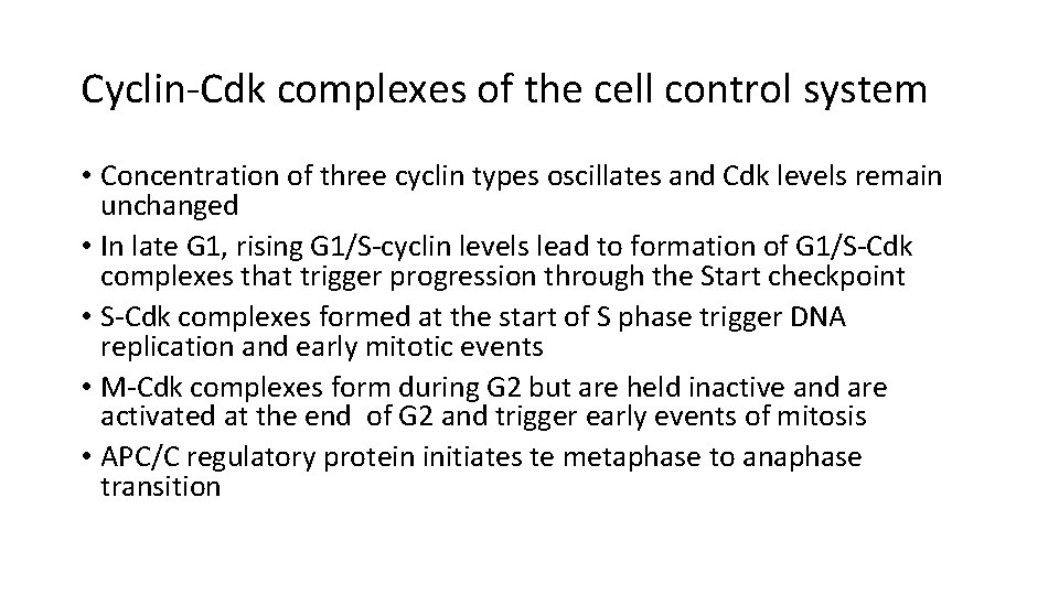Cyclin-Cdk complexes of the cell control system • Concentration of three cyclin types oscillates