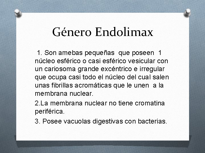 Género Endolimax 1. Son amebas pequeñas que poseen 1 núcleo esférico o casi esférico