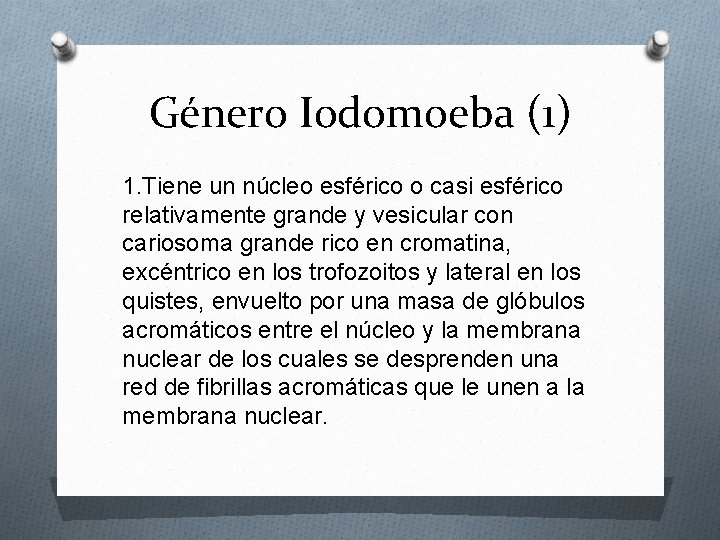 Género Iodomoeba (1) 1. Tiene un núcleo esférico o casi esférico relativamente grande y