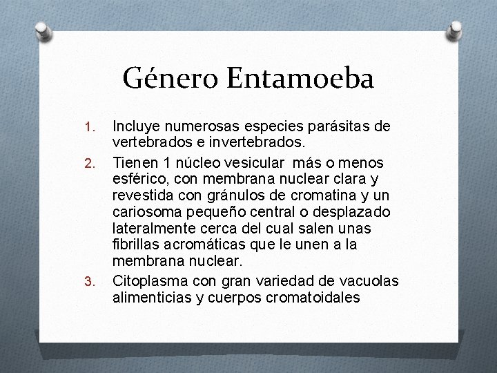 Género Entamoeba 1. 2. 3. Incluye numerosas especies parásitas de vertebrados e invertebrados. Tienen