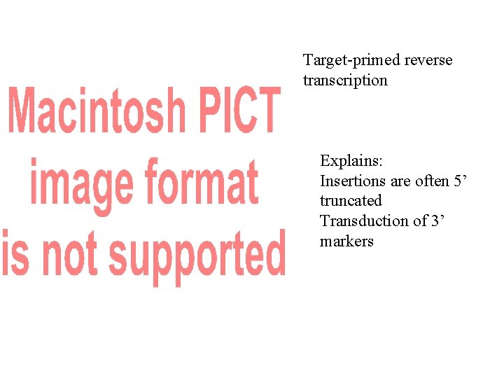 Target-primed reverse transcription Explains: Insertions are often 5’ truncated Transduction of 3’ markers 