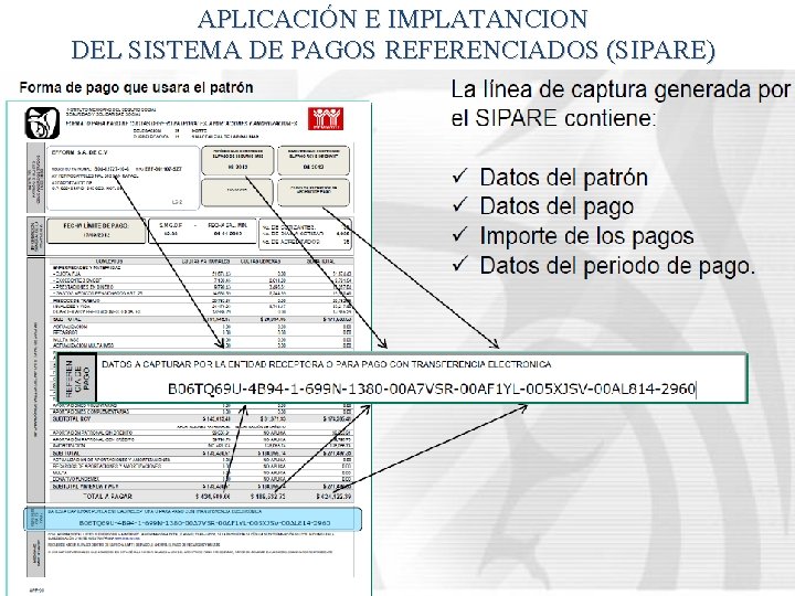 APLICACIÓN E IMPLATANCION DEL SISTEMA DE PAGOS REFERENCIADOS (SIPARE) 