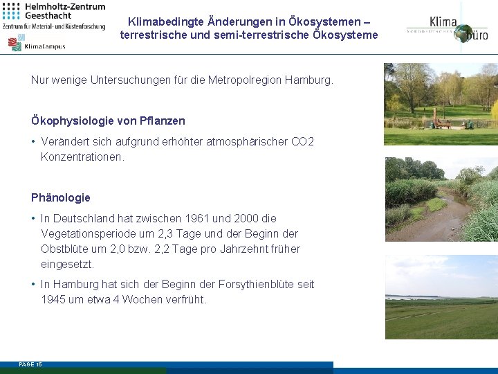 Klimabedingte Änderungen in Ökosystemen – terrestrische und semi-terrestrische Ökosysteme Nur wenige Untersuchungen für die