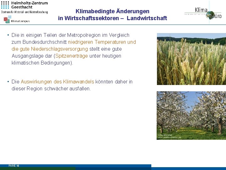 Klimabedingte Änderungen in Wirtschaftssektoren – Landwirtschaft • Die in einigen Teilen der Metropolregion im