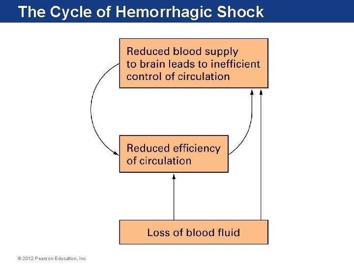 The Cycle of Hemorrhagic Shock © 2012 Pearson Education, Inc. 