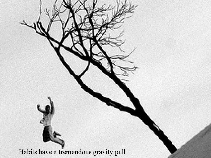 Habits have a tremendous gravity pull 2 