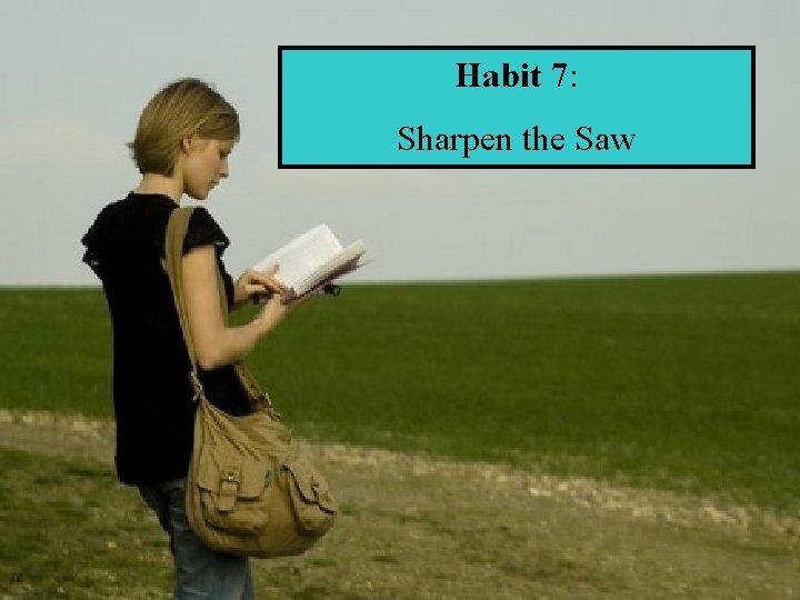 Habit 7: Sharpen the Saw 29 