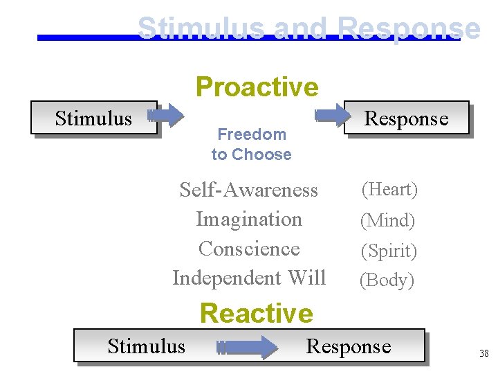 Stimulus and Response Proactive Stimulus Response Freedom to Choose Self-Awareness Imagination Conscience Independent Will