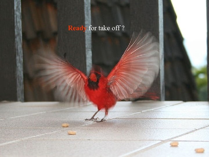 Ready for take off ? 4 