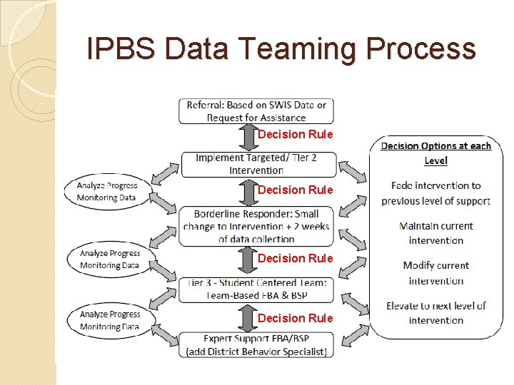 IPBS Data Teaming Process Decision Rule 