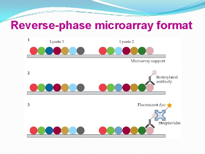 Reverse-phase microarray format 