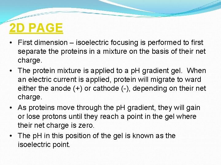 2 D PAGE • First dimension – isoelectric focusing is performed to first separate