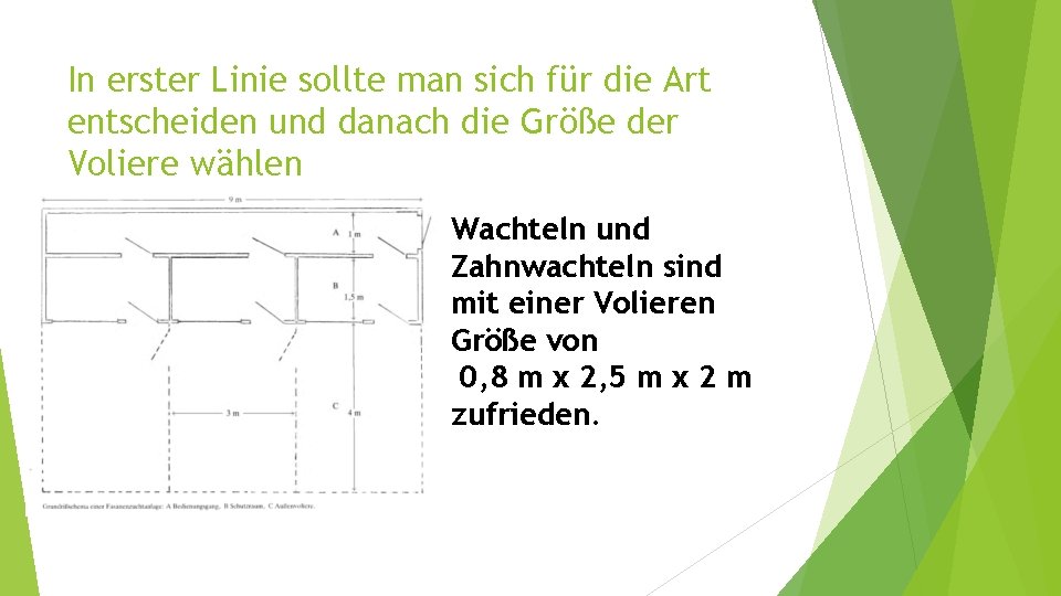 In erster Linie sollte man sich für die Art entscheiden und danach die Größe