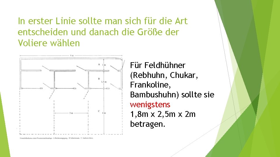 In erster Linie sollte man sich für die Art entscheiden und danach die Größe