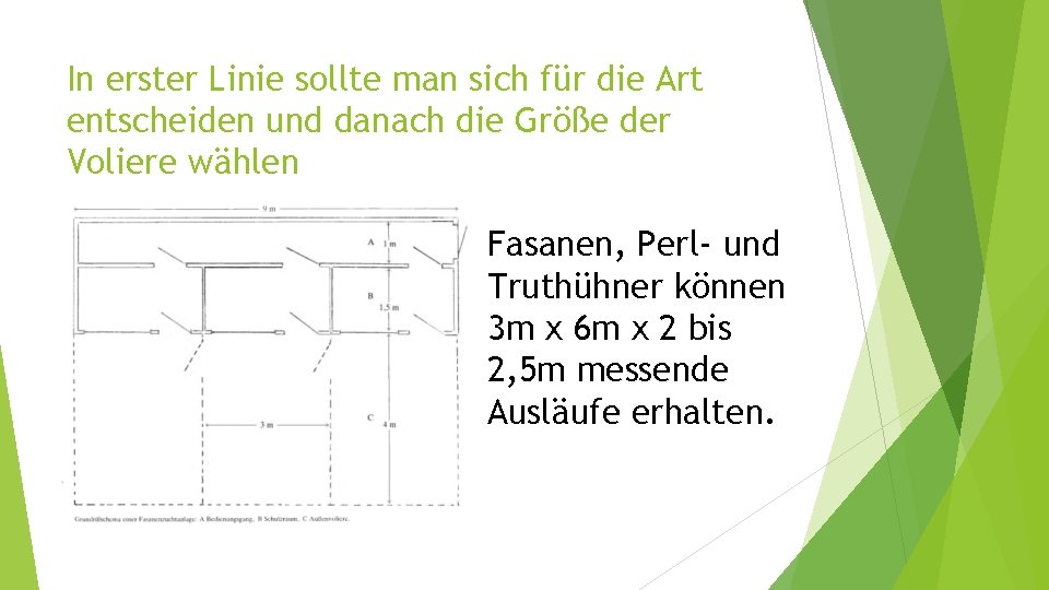 In erster Linie sollte man sich für die Art entscheiden und danach die Größe