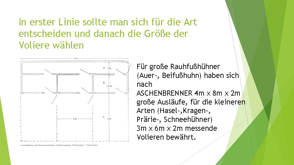 In erster Linie sollte man sich für die Art entscheiden und danach die Größe