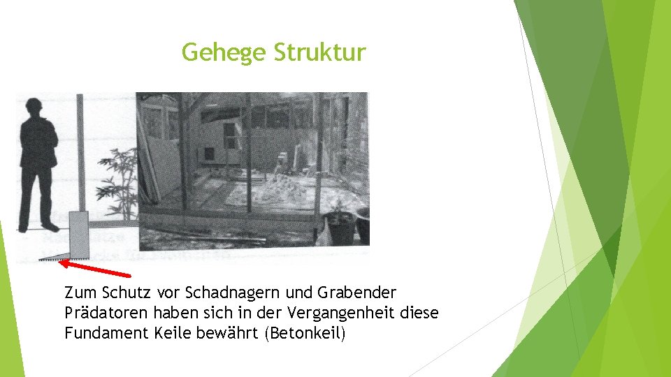 Gehege Struktur Zum Schutz vor Schadnagern und Grabender Prädatoren haben sich in der Vergangenheit