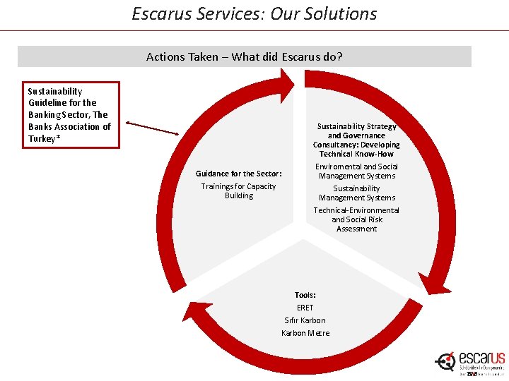 Escarus Services: Our Solutions Actions Taken – What did Escarus do? Sustainability Guideline for