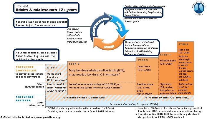 Box 3 -5 A Confirmation of diagnosis if necessary Symptom control & modifiable risk