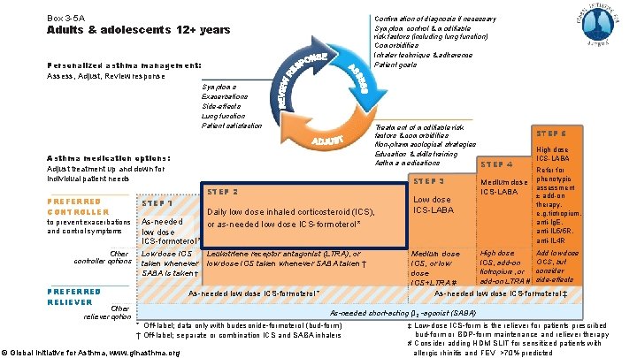 Box 3 -5 A Confirmation of diagnosis if necessary Symptom control & modifiable risk