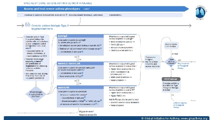 © Global Initiative for Asthma, www. ginasthma. org 