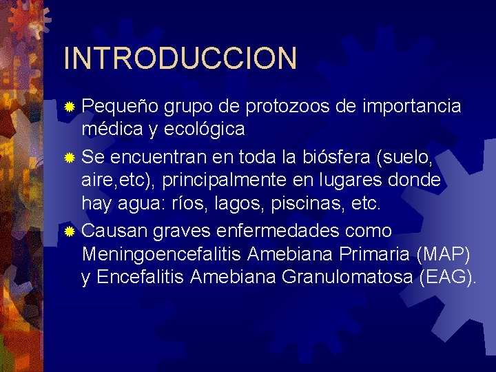 INTRODUCCION ® Pequeño grupo de protozoos de importancia médica y ecológica ® Se encuentran