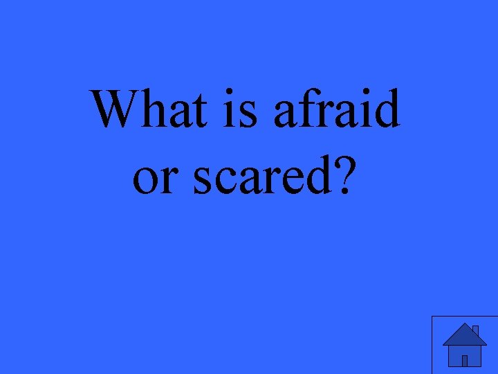 What is afraid or scared? 