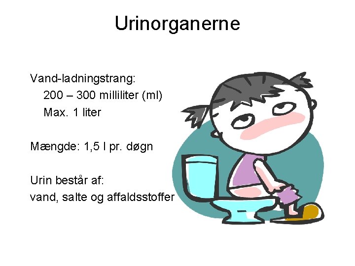 Urinorganerne Vand-ladningstrang: 200 – 300 milliliter (ml) Max. 1 liter Mængde: 1, 5 l