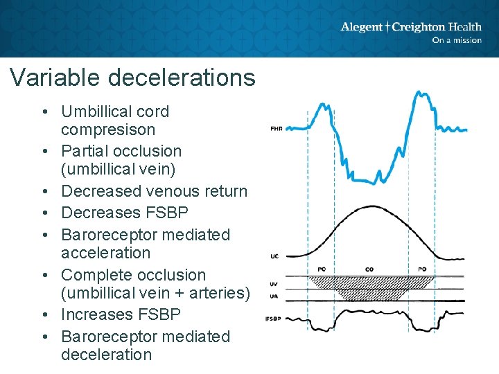 Variable decelerations • Umbillical cord compresison • Partial occlusion (umbillical vein) • Decreased venous