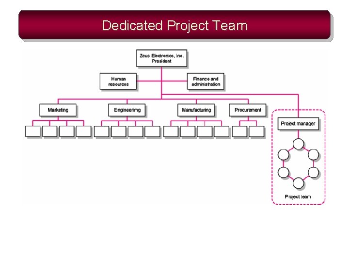 Dedicated Project Team 
